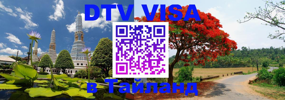 Оформление DTV визы под ключ: стоимость и тарифы, только загранпаспорт - 20.11.2025 